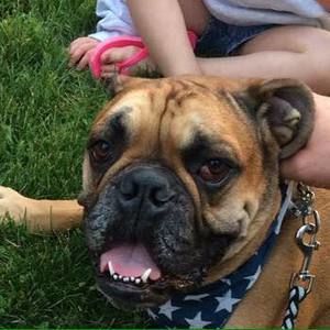 Meet your Posher, Robert